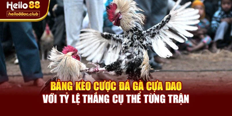 Bảng kèo cược đá gà cựa dao với tỷ lệ thắng cụ thể từng trận
