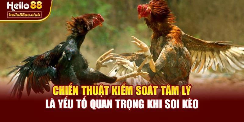 Chiến thuật kiểm soát tâm lý là yếu tố quan trọng khi soi kèo