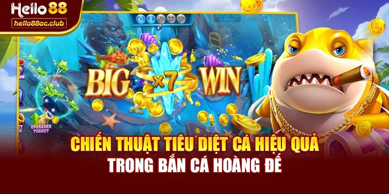 Chiến thuật tiêu diệt cá hiệu quả trong bắn cá hoàng đế
