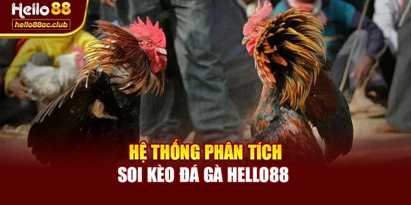 Hệ thống phân tích soi kèo đá gà Hello88