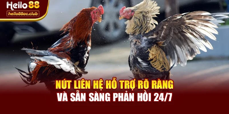 Nút liên hệ hỗ trợ rõ ràng và sẵn sàng phản hồi 24/7