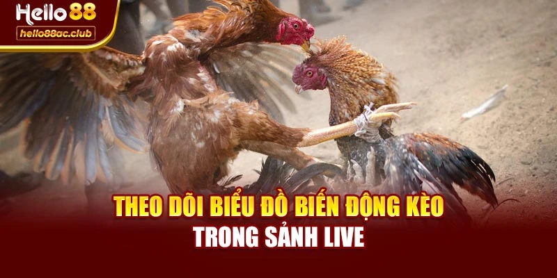 Theo dõi biểu đồ biến động kèo trong sảnh Live