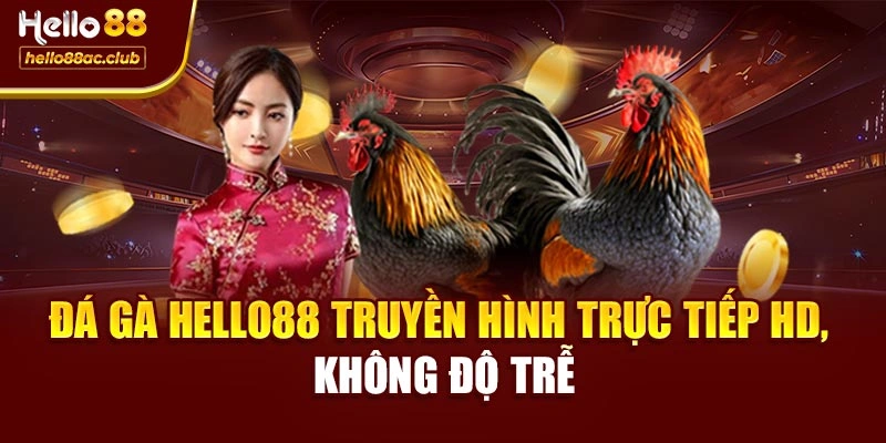Đá gà Hello88 truyền hình trực tiếp HD, không độ trễ